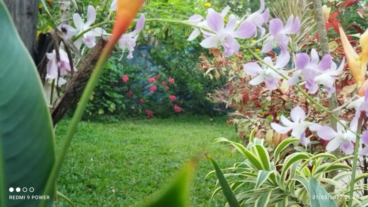 Marari Sabari Home Stay Mararikulam Exteriör bild